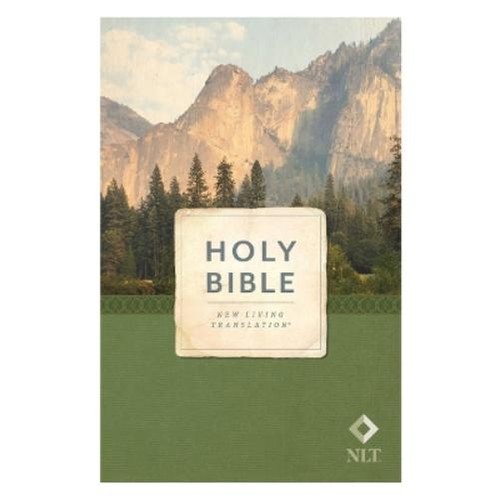 Tyndale holy bible economy - tyndale,