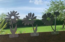 DAISY DAISIES Steel Garden