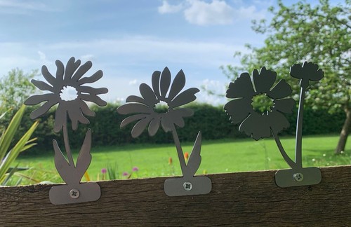 Daisy daisies steel garden - daisy,