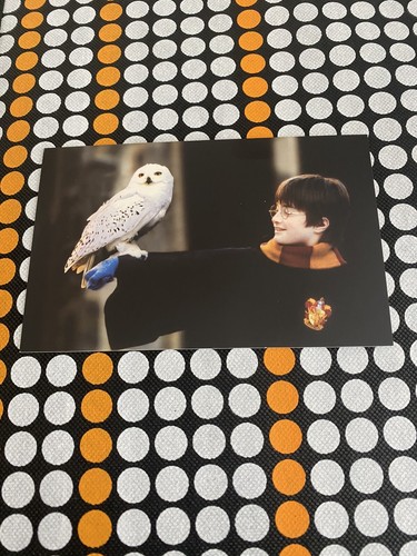 Harry potter postcard - harry,