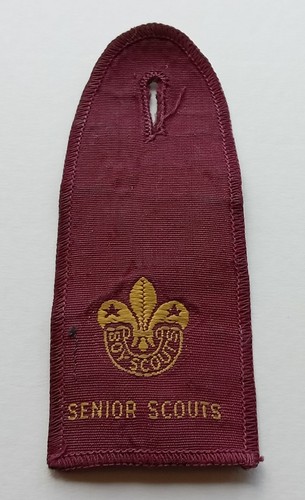Senior scouts epaulette - scouts,