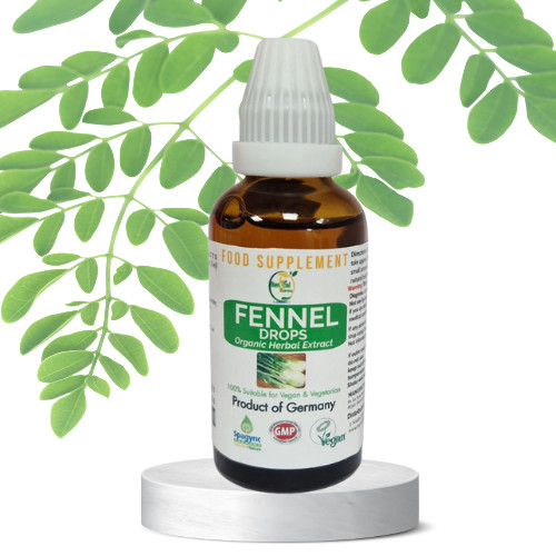 Fennel foeniculum vulgare - (,