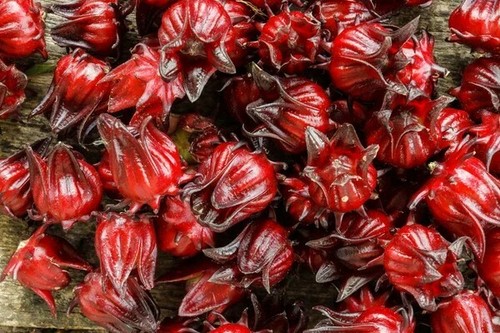 Bangladeshi seeds jamaican - bangladeshi,