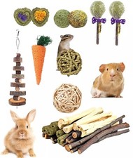 31PCS Rabbit Chew Toys Bunny Chew Toys,Guinea Pig Toys Boredom Breaker