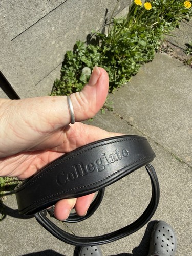 Collegiate padded bridle - collegiate,