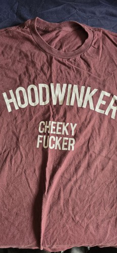 Enter shikari hoodwinker - shikari, t