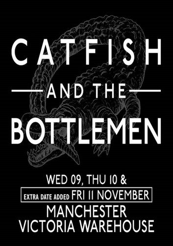 Catfish and the bottlemen - and,