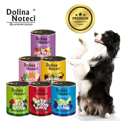 Dolina noteci wet dog - noteci,