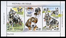SWEDISH VALLHUND ELKHOUND