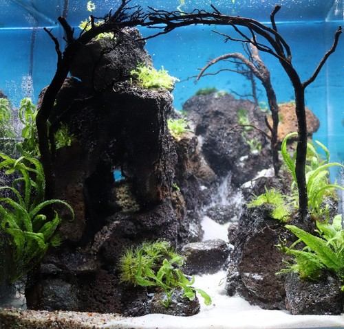 💥💥HARDSCAPE+FILTRATION+