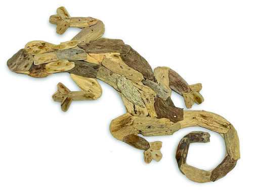 Gecko wall art - wall,