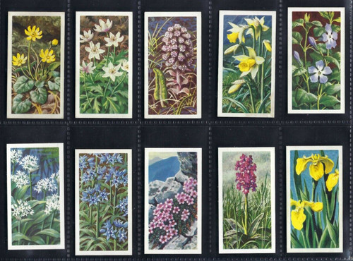 Brooke bond wild - brooke, flowers