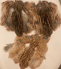 Natural fly tying or crafting materials quail cock capes from my home flock.