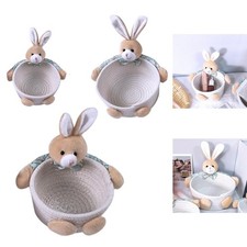 Cartoon Rabbit Storage