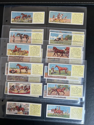 Full set typhoo - -,