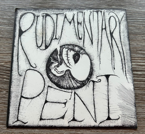 Rudimentary peni - peni,
