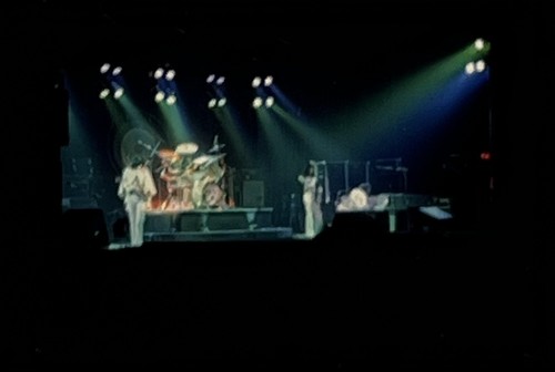 Queen freddie mercury - freddie,
