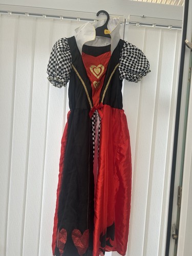 Girls fancy dress costume - girls',