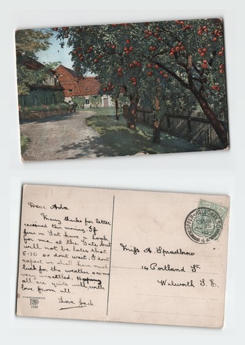 Vintage postcard apple orchard - vintage,