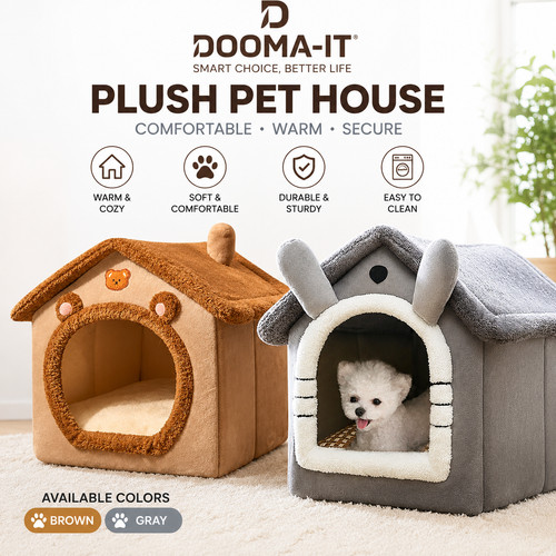 Pet cat kitten - dog, igloo