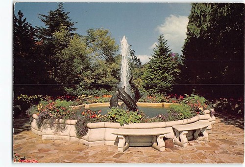 Postcard the dolphin fountain - the,