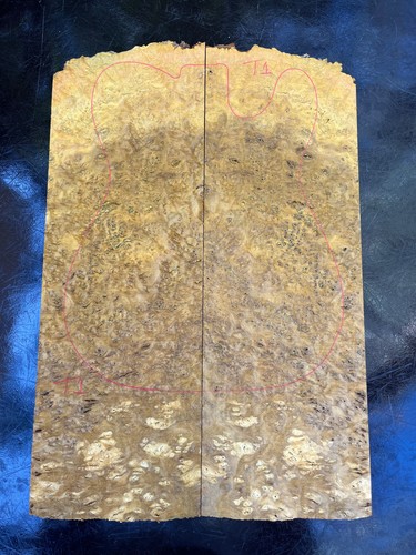 Gempol burl bookmatched guitar - gempol,