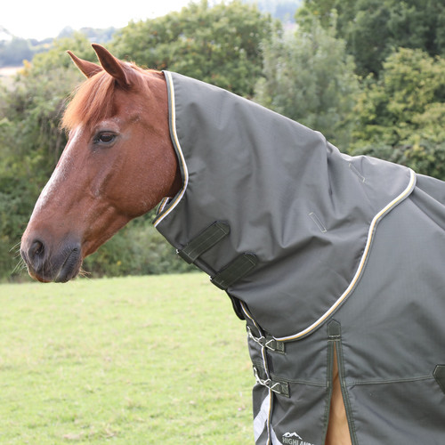 Shires highlander plus - shires, 50g