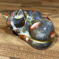 Cat Nip Kitten Sleeping -