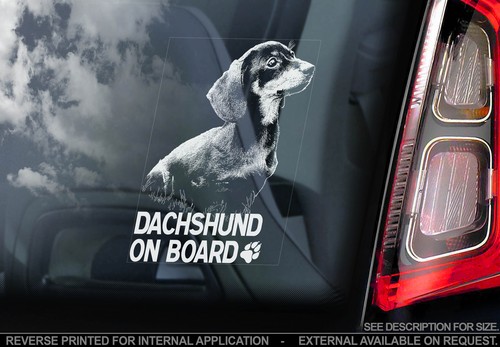 Dachshund car window sticker - window,