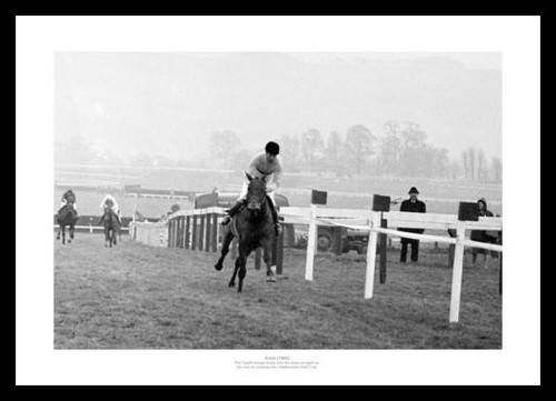 Arkle 1966 cheltenham gold - arkle,