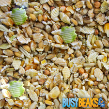BusyBeaks Duck & Goose Mix -