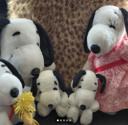 Peanuts plush snoopy - plush,
