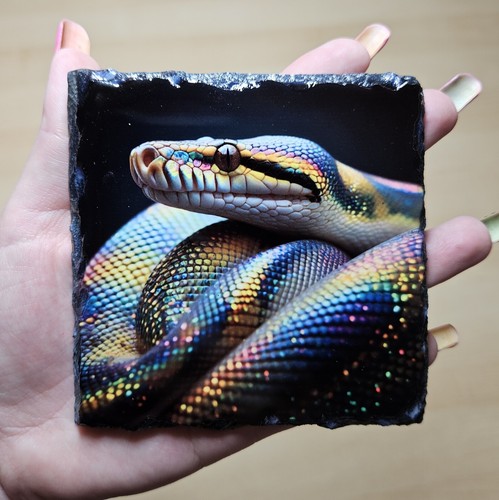 Royal python snake slate - python,