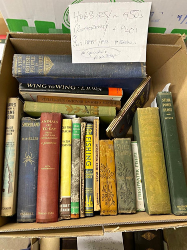 Job lot vintage natural - vintage,
