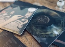 The Chameleons Strange times