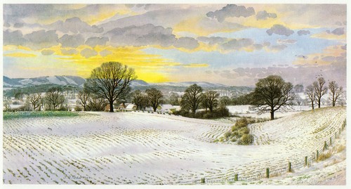 Evening snow tillington - evening,