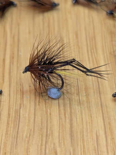 Fly fishing trout - fly, fishing,trout