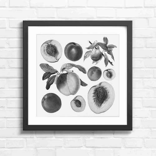 Botanical vintage peaches and - botanical,