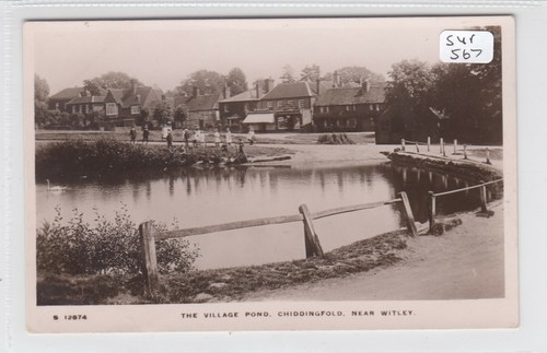 Chiddingfold near witley - near,