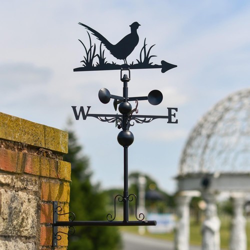 Miniature steel pheasant - miniature,