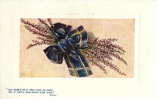 Sprig heather scotland - sprig,
