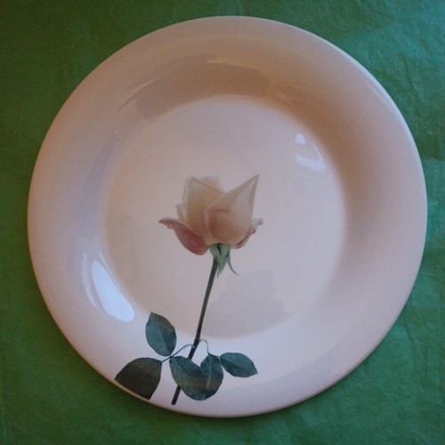Portmeirion flo blooming - , flo,