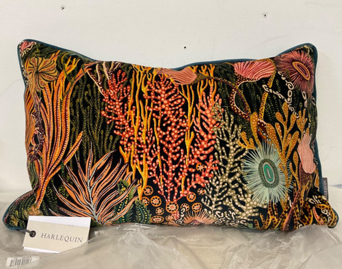 Harlequin acopora 40x60 - acopora,