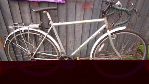 Raleigh pioneer jaguar - jaguar, 12