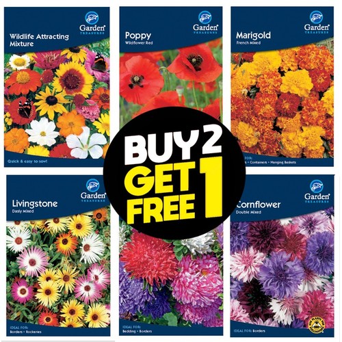 Flower seeds nasturtium - flower,