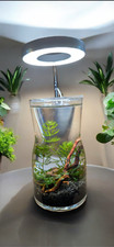 Self Sustaining Ecosphere