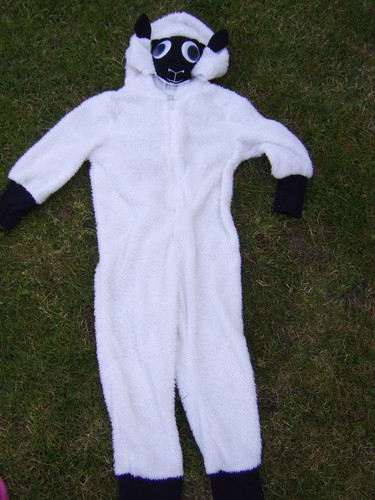 Christmas sheep dressing - christmas,