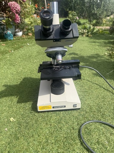 Olympus series biological - ch,