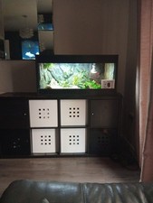 Vivarium Reptile Tank with