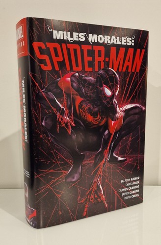 Miles morales spider man - miles,